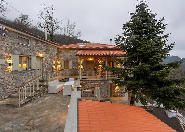 Aesthesis By Raise *